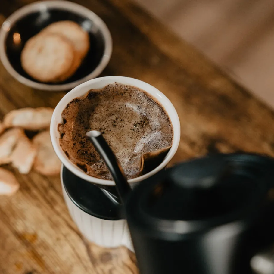 GASTROBACK Teekocher & Wasserkocher|Pour Over Coffee*Design Wasserkocher Pour Over Advanced