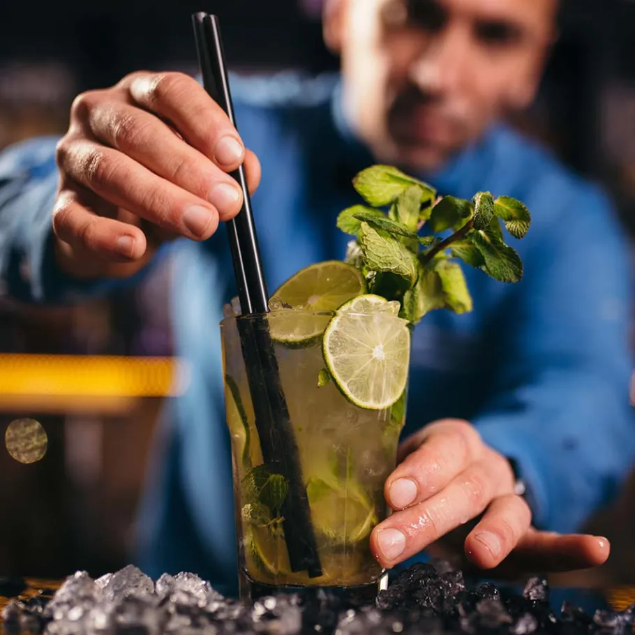 GASTROBACK Eiswürfelmaschine & Ice-Crusher*Eiswürfelbereiter Bartender Pro
