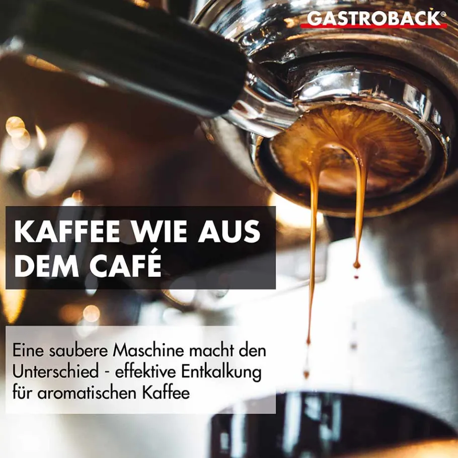 GASTROBACK Zubehör*Premium Entkalker 500 ml