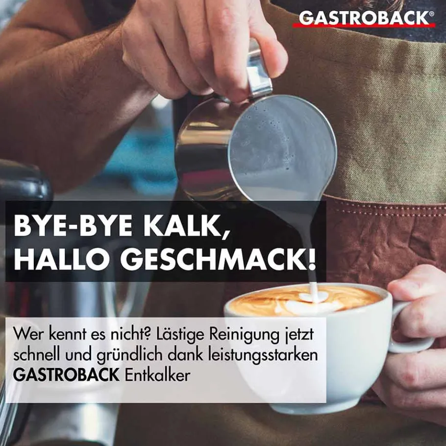 GASTROBACK Zubehör*Premium Entkalker 500 ml